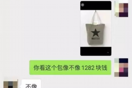 兴海如何避免债务纠纷？专业追讨公司教您应对之策